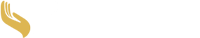 Daně v dlani